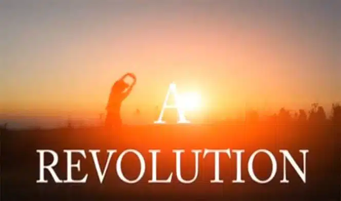 Anovite-Revolution