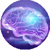 Brain & Cognitive Function
