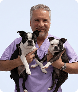 Dr. Gus Brooks, Head of Veterinary Medical Board, Anovite